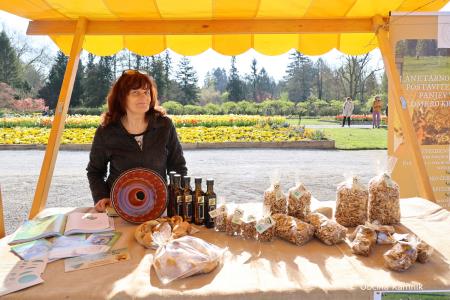 Festival zelišč (26)